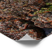 Bear Butte Staat Park, South Dakota Poster (Ecke)