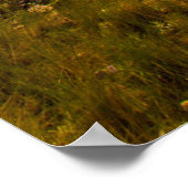 Bear Butte Staat Park, South Dakota Poster (Ecke)