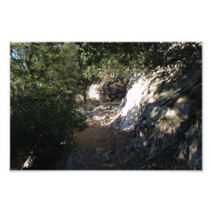 Bear Canyon Campground Fotodruck