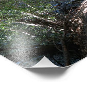 Bear Canyon Campground Fotodruck (Ecke)