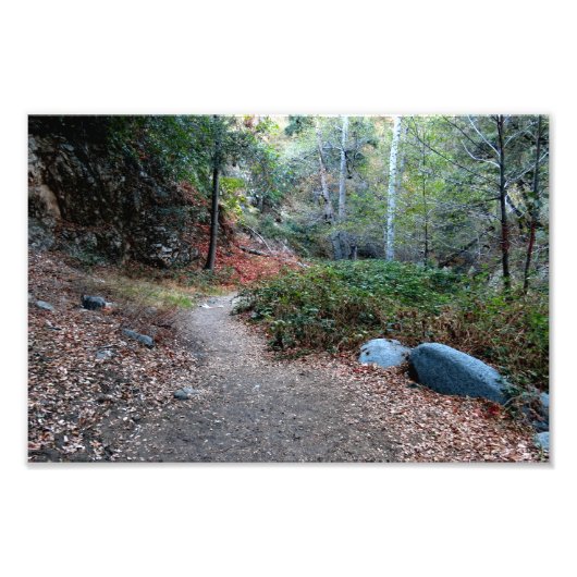 Bear Canyon Campground Fotodruck (Vorne)