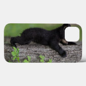 Bear Cub Climbing a Tree Case-Mate iPhone Hülle (Rückseite (Horizontal))