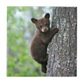 Bear Cub Climbing a Tree Fliese (Vorderseite)