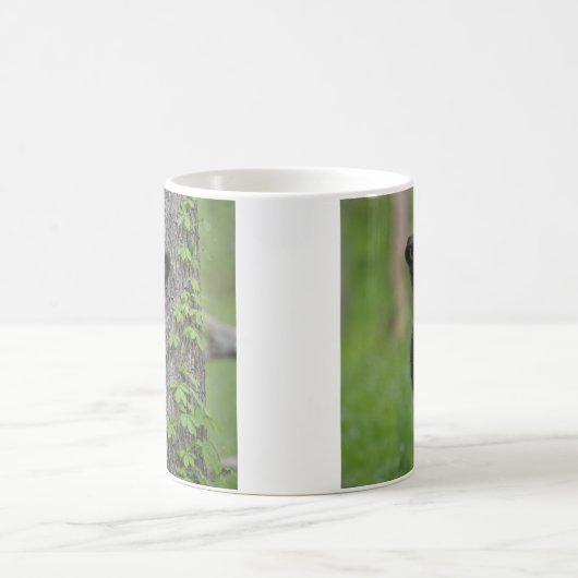 Bear Cub Climbing a Tree Kaffeetasse (Mittel)