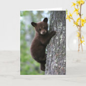 Bear Cub Climbing a Tree Karte (Gelbe Blume)