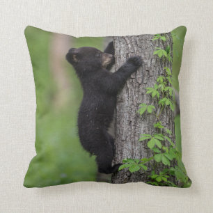 Bear Cub Climbing a Tree Kissen