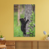 Bear Cub Climbing a Tree Leinwanddruck (Insitu (Wohnzimmer))