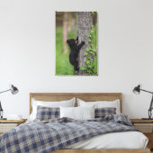 Bear Cub Climbing a Tree Leinwanddruck (Insitu (Schlafzimmer))