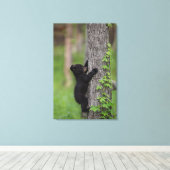 Bear Cub Climbing a Tree Leinwanddruck (Insitu (Holzboden))