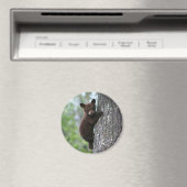 Bear Cub Climbing a Tree Magnet (In Situ (Geschirrspüler))