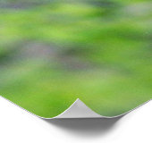 Bear Cub Climbing a Tree Poster (Ecke)