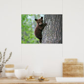 Bear Cub Climbing a Tree Poster (Küche)