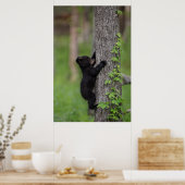 Bear Cub Climbing a Tree Poster (Küche)