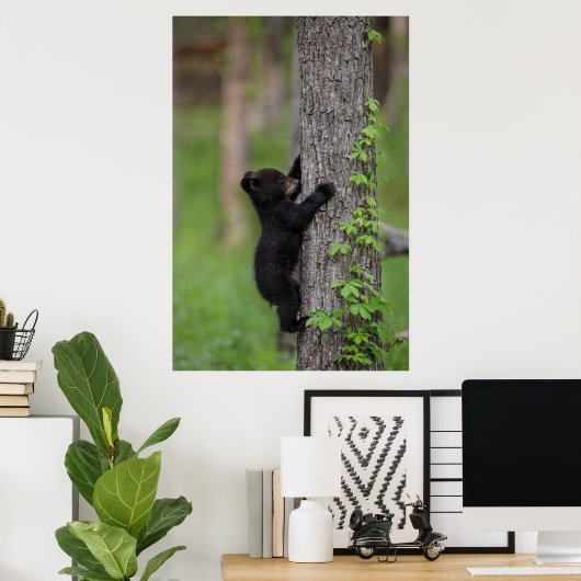 Bear Cub Climbing a Tree Poster (Heimbüro)