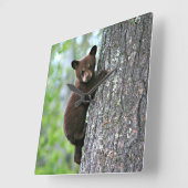 Bear Cub Climbing a Tree Quadratische Wanduhr (Winkel)