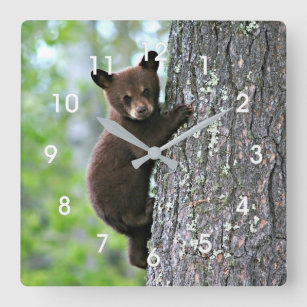 Bear Cub Climbing a Tree Quadratische Wanduhr