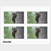 Bear Cub Climbing a Tree Rechteckiger Aufkleber (Blatt)