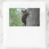 Bear Cub Climbing a Tree Rechteckiger Aufkleber (Tasche)