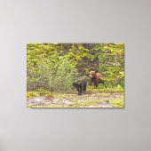 Bear Cubs Leinwanddruck (Vorderseite)