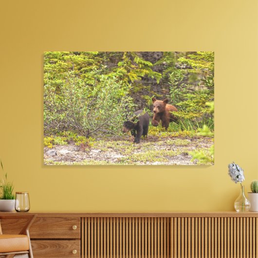 Bear Cubs Leinwanddruck (Insitu (Wohnzimmer))