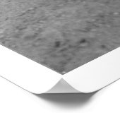 Bear Drinking in Alaska 1910 Poster (Ecke)