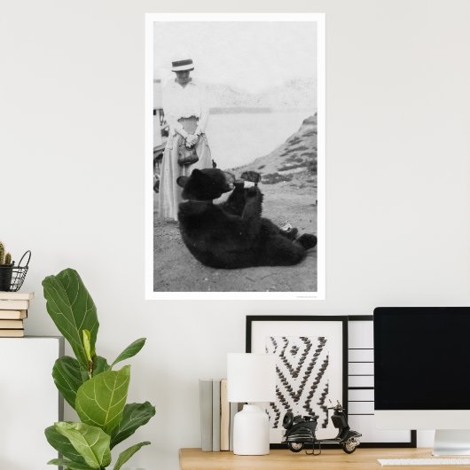 Bear Drinking in Alaska 1910 Poster (Heimbüro)