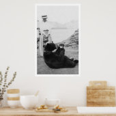 Bear Drinking in Alaska 1910 Poster (Küche)
