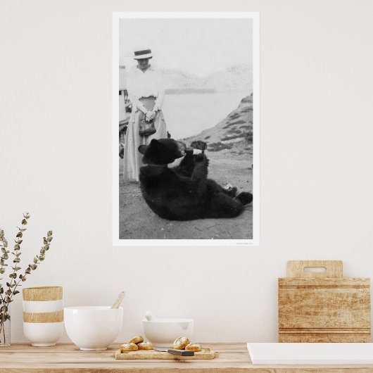 Bear Drinking in Alaska 1910 Poster (Küche)