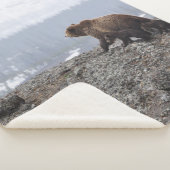 BEAR FAMILIE IN YELLOWSTONE SHERPADECKE (3/4)