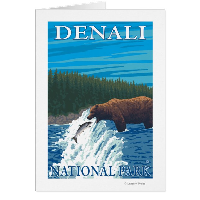 Bear Fishing in River - Denali National Park, (Vorne)