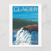 Bear Fishing in River - Glacier National Park, Postkarte (Vorderseite)