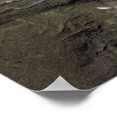 Bear Glacier Alaska Poster (Ecke)