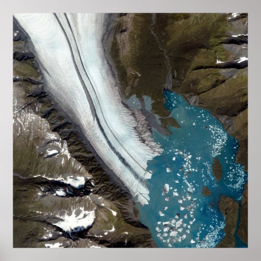 Bear Glacier Alaska Poster (Vorne)