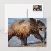 Bear Gone Angelkarte Postkarte (Vorne/Hinten)