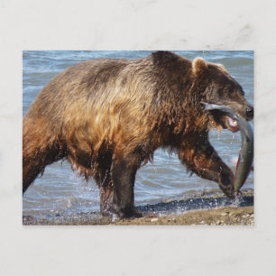 Bear Gone Angelkarte Postkarte