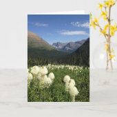 Bear Grass Glacier Nationalpark Karte (Gelbe Blume)