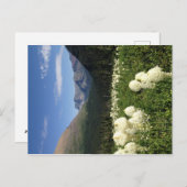 Bear Grass Glacier Nationalpark Postcard Postkarte (Vorne/Hinten)