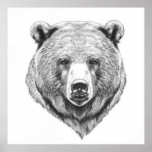 Bear Grizzly Wild Nature Animal Illustration Art Poster (Vorne)
