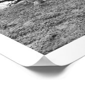 Bear Hunting Alaska 1906 Poster (Ecke)