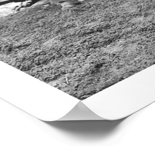 Bear Hunting Alaska 1906 Poster (Ecke)