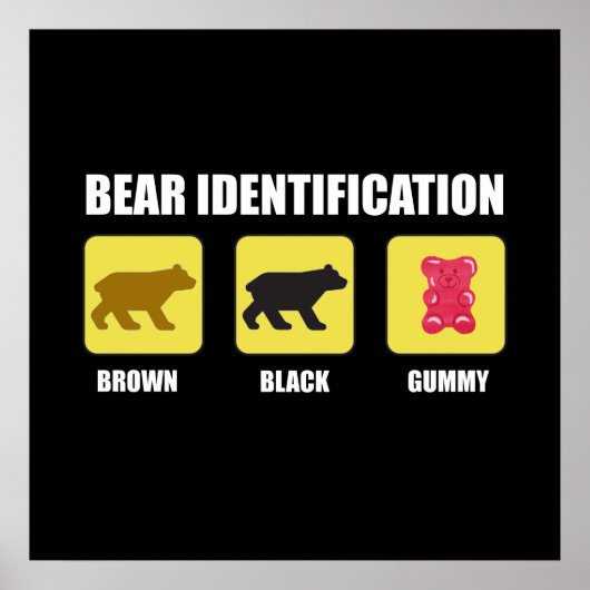 Bear Identification Funny Poster (Vorne)