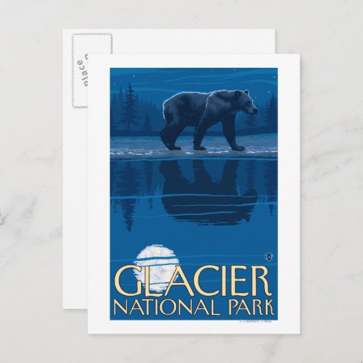 Bear in Moonlight - Glacier National Park, MT Postkarte (Vorne/Hinten)