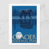 Bear in Moonlight - Glacier National Park, MT Postkarte (Vorderseite)