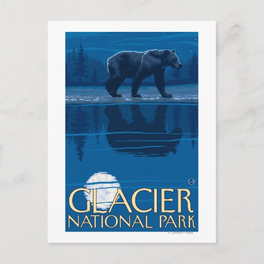Bear in Moonlight - Glacier National Park, MT Postkarte (Vorderseite)