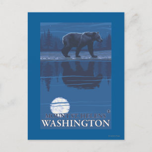 Bear in Moonlight - Mount St. Helens, Postkarte