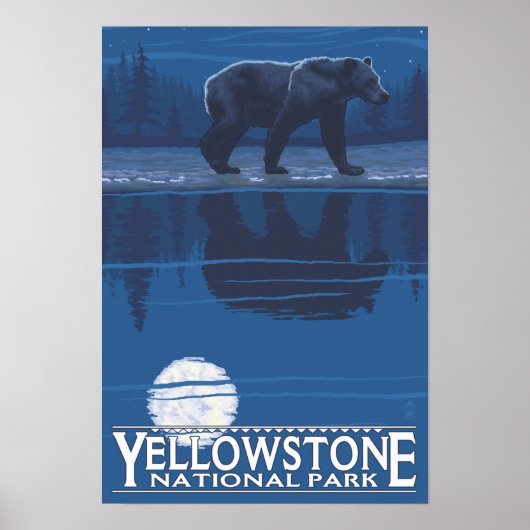 Bear in Moonlight - Yellowstone National Park Poster (Vorne)