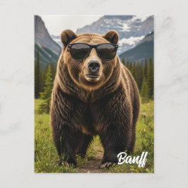Bear in Sunglasses Banff National Park Kanada Postkarte