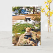 Bear in Woods Funny Grußkarte Karte (Gelbe Blume)