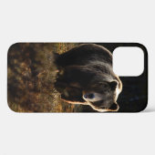 Bear iPhone 12 Fall Case-Mate iPhone Hülle (Rückseite (Horizontal))