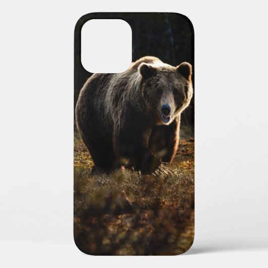 Bear iPhone 12 Fall Case-Mate iPhone Hülle (Rückseite)